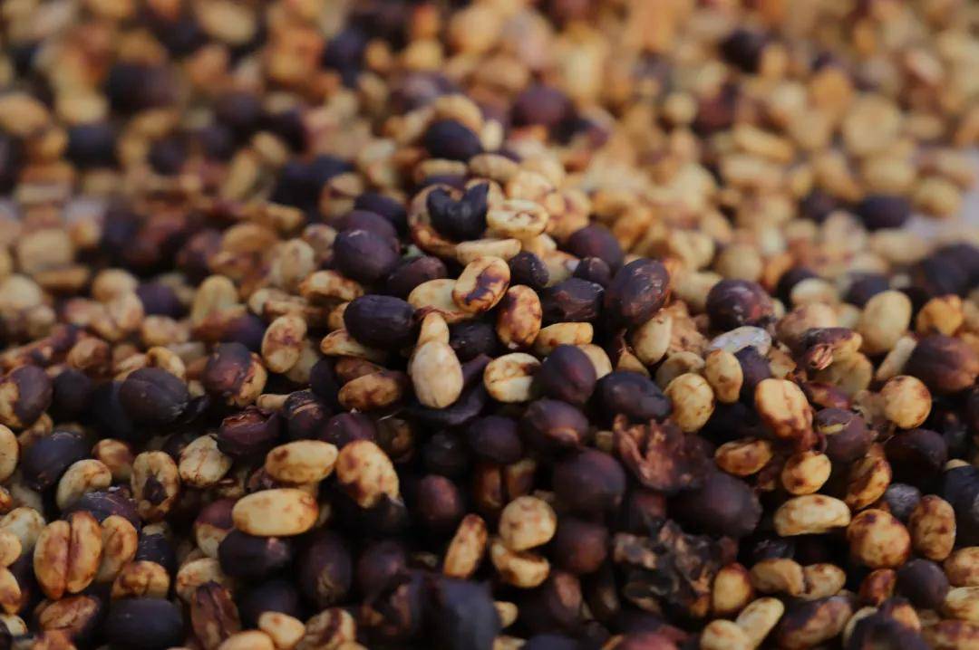 咖啡”：从日常饮品到文化新符号麻将胡了试玩拼多多上的 “中国